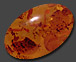 amber with inclusions
