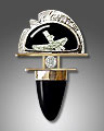 silver/gold pendant