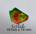 ammolite cabochon
