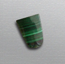 malachite tongue