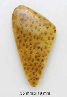 palm wood cabochon