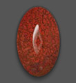 red dinosaur bone
